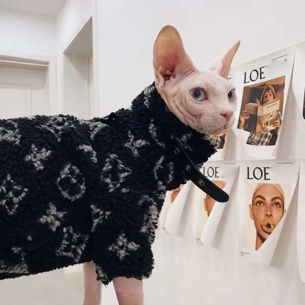 Designer Cat Sweater  LV Sweater for Sphynx, Designer Sweater