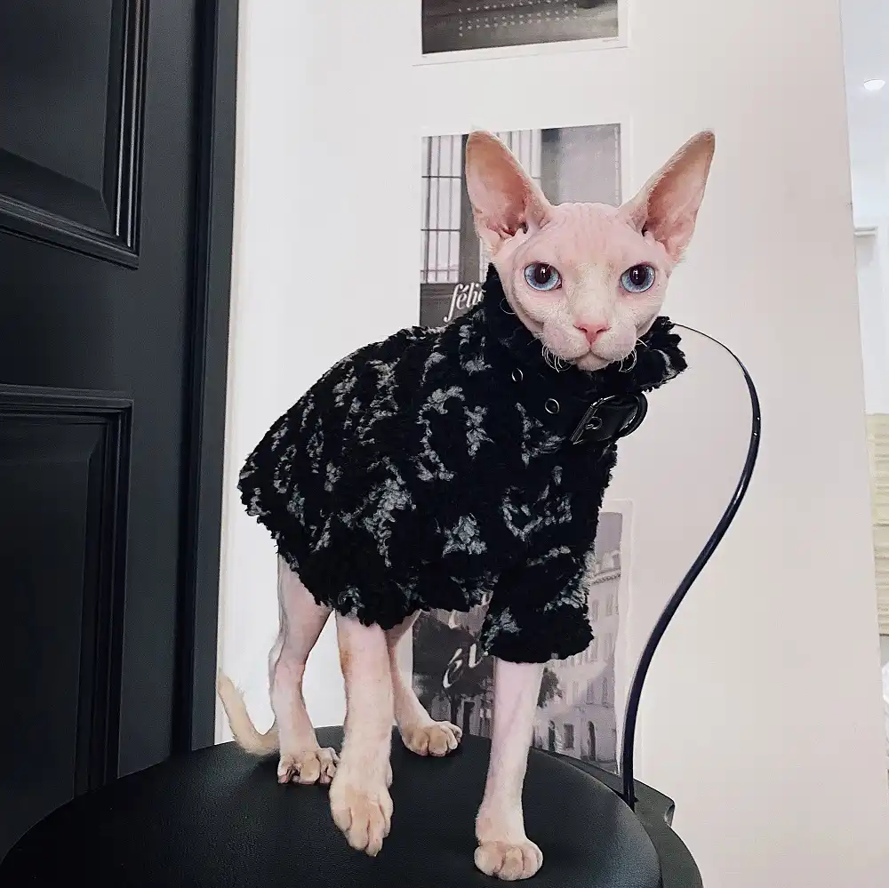 Black Classic LV Camisole Tank Top for Sphynx