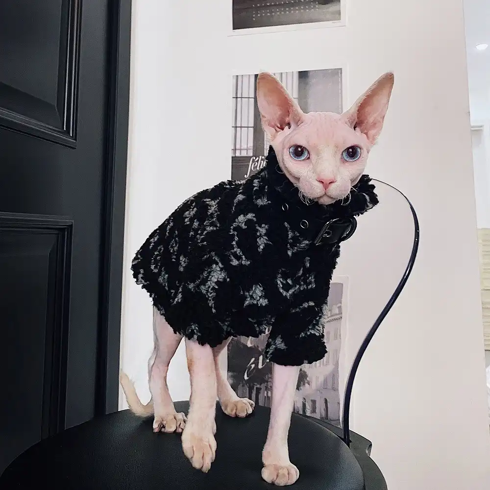 Sphynx Cat Clothes from YESWARMG