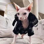 Sphynx Cat Clothes Louis Vuitton