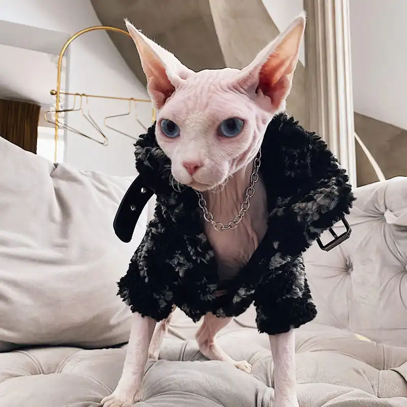 Sweater for Kitten | Louis Vuitton Vest for Sphynx, Lamb Fleece