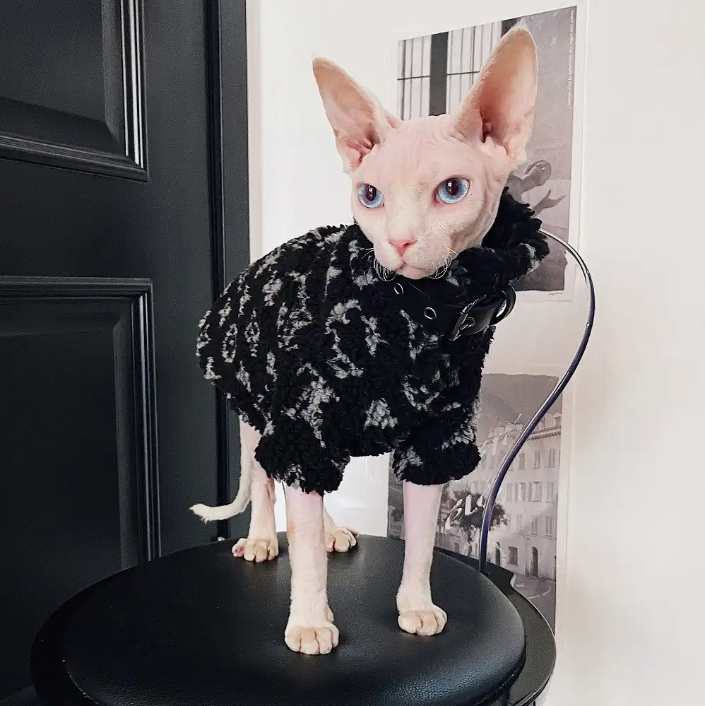 Coat for Cats | Louis Vuitton Cat Jacket, Louis Vuitton Cat Coat ?
