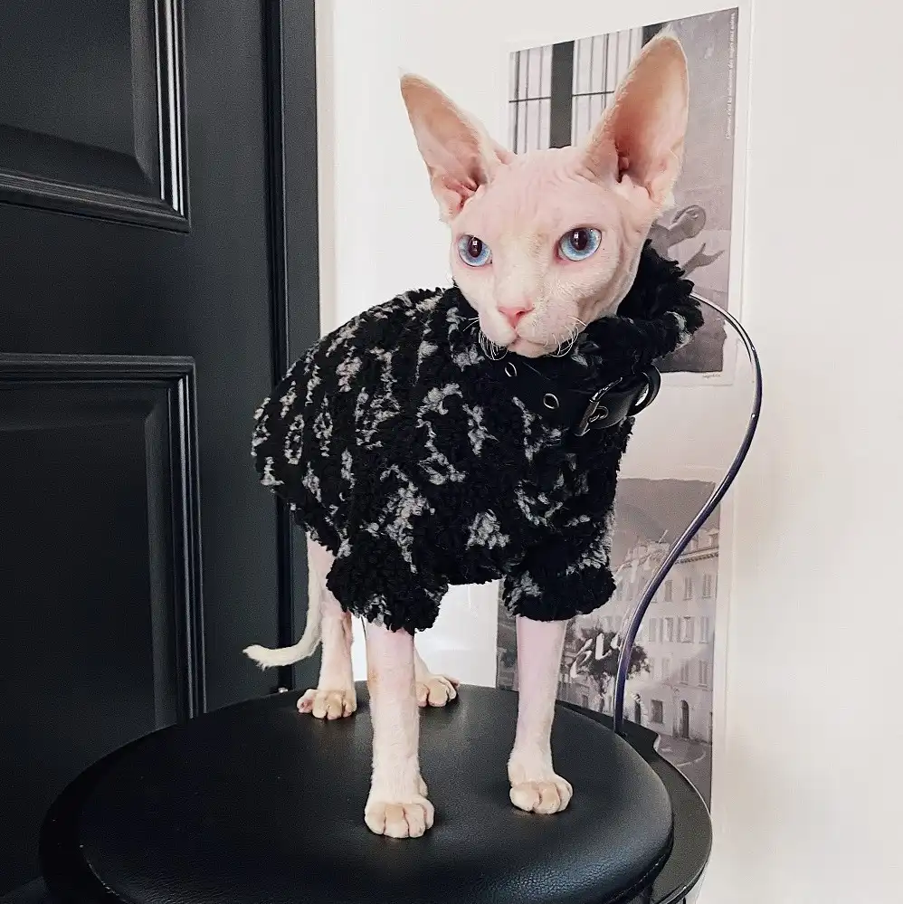 Sweater for Kitten  Louis Vuitton Vest for Sphynx, Lamb Fleece