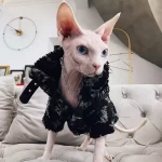 Sphynx Cat Clothes Louis Vuitton