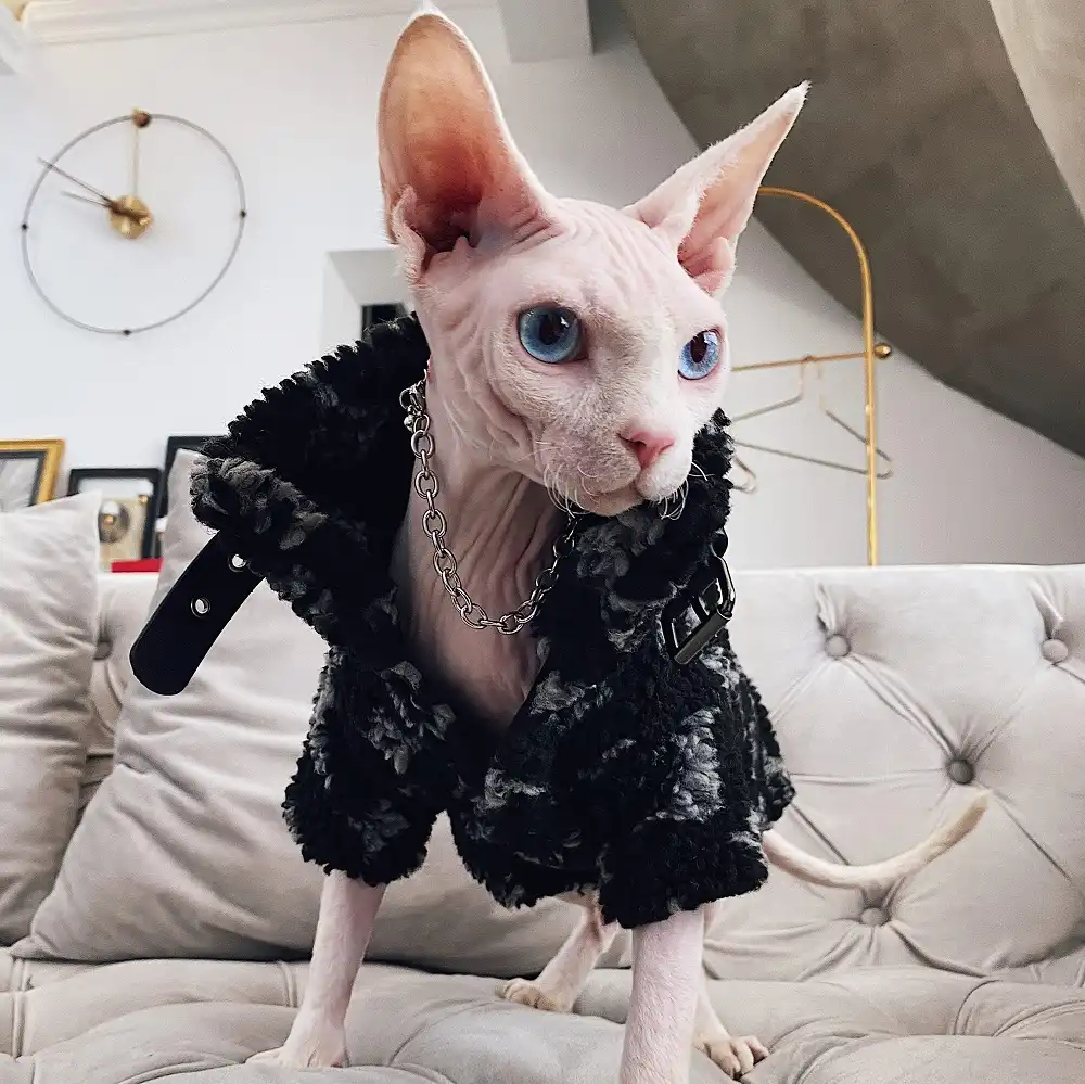 Sweater for Kitten | Louis Vuitton Vest for Sphynx, Lamb Fleece