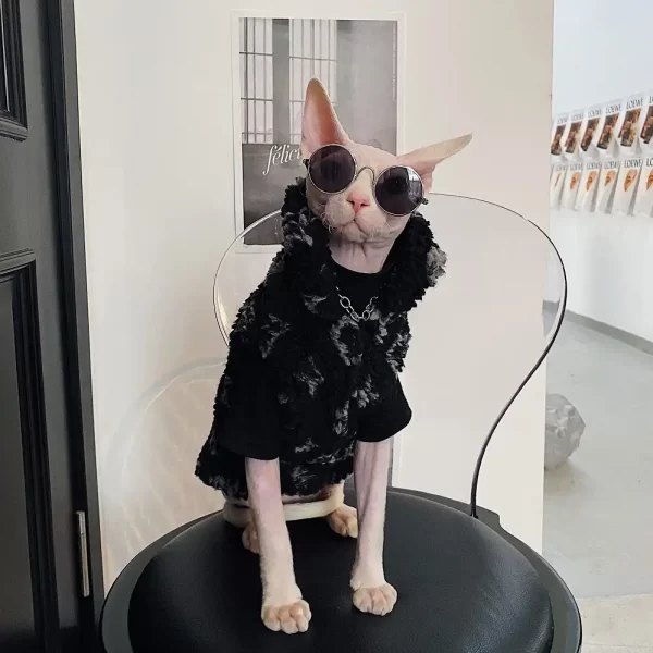 Vestiti per gatti Sphynx Louis Vuitton