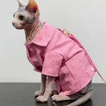 Sphynx Cat Clothes Louis Vuitton | Jacket with Harness for Cat 😻