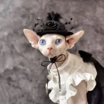 Sphynx Cat Girls Clothes | "Chanel" Dress with Bow for Sphynx Cat