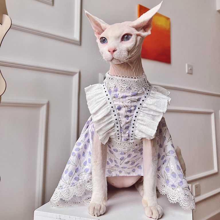 Formal Dress for Sphynx Pink Trailing Dress for Sphynx Cat
