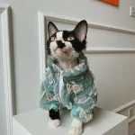 Sphynx Girl Cat Clothes-Rainbow Fur Coat-Blue green