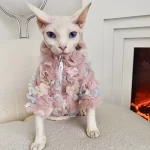 Sphynx Girl Cat Clothes-Rainbow Fur Coat-Pink