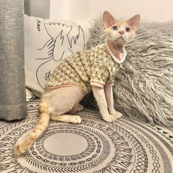 Sweater for Hairless | Cute Flower Sweater for Sphynx Cat