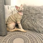 Sweater for Hairless | Cute Flower Sweater for Sphynx Cat