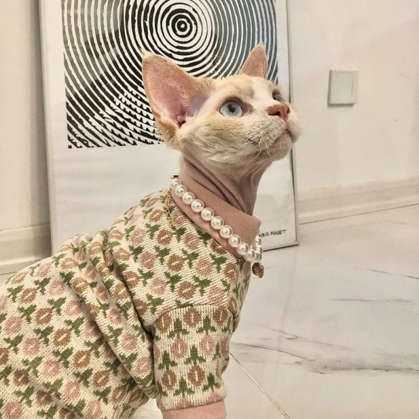 Свитер для бесшерстных | Милый цветочный свитер для кошки породы сфинкс