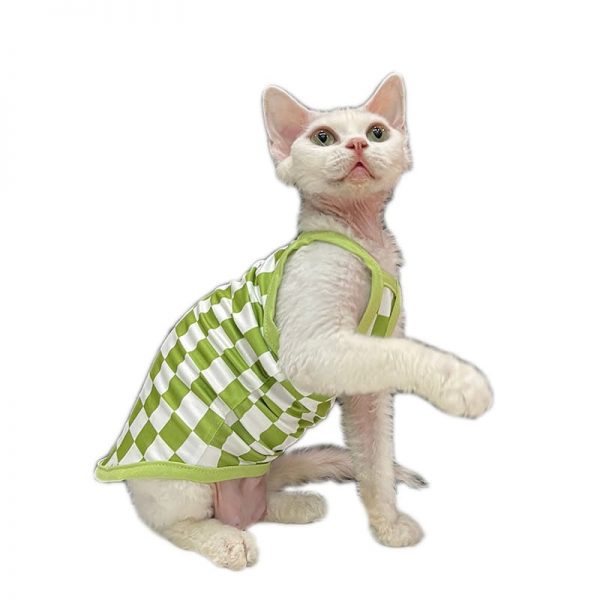 Plaid Tanktop for Sphynx Best Summer Fashion Plaid Tanktop for Cat