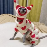 Sphynx Cat Clothes Four Legs - Red