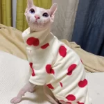 Sphynx Cat Clothes Four Legs - Red