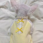 Colorful Tanktop for Cat-yellow