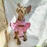 Cute Shirts for Sphynx Cute Pink, Green Petal Sleeves for Sphynx