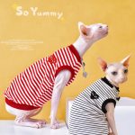 Designer-Shirts für Katze Atmungsaktiv Rot, Schwarz CDG PLAY Shirt für Katze