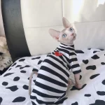 Designer Shirts for Cat-CDG PLAY Shirt