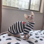 Designer Shirts for Cat-CDG PLAY Shirt