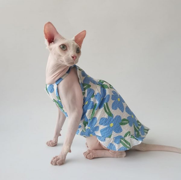Dresses for Cats Flower | Amazing Orange and Blue Dress for Cat