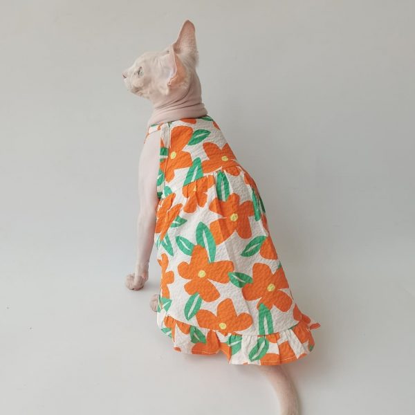 Платья для кошек цветочные | Удивительное оранжево-голубое платье для кошки