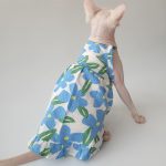 Dresses for Cats Flower | Amazing Orange and Blue Dress for Cat