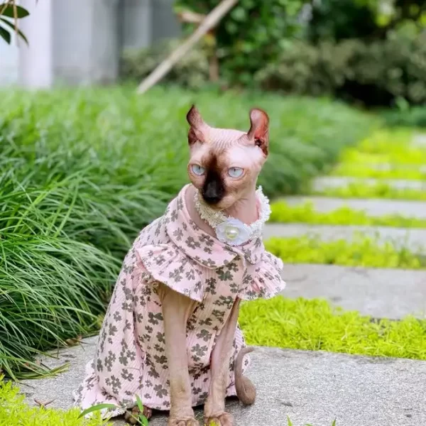 Flower Dress for Sphynx-Summer Dress