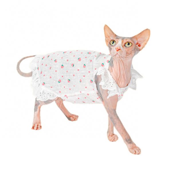 Fliegende Ärmel Kleid für Katze | Atmungsaktives Sommerkleid für Sphynx Katze