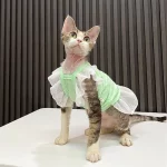 Flying Sleeve Dress for Cat-Summer Dress