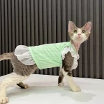 Flying Sleeve Dress for Cat-Summer Dress