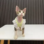 Flying Sleeve Dress for Cat-Summer Dress