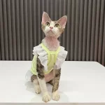 Flying Sleeve Dress for Cat-Summer Dress