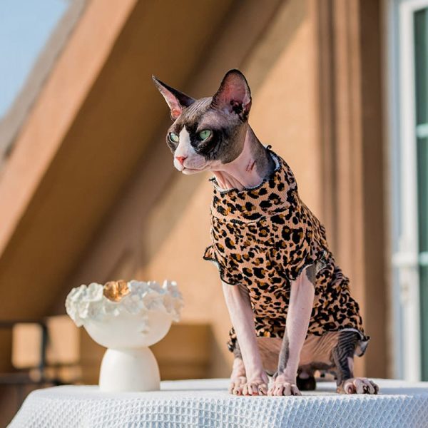 Leopard Shirt for Sphynx Best Summer Breathable Leopard Shirt