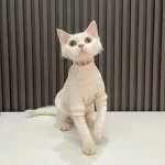 Shirts for Sphynx-Pure Cotton