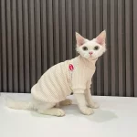 Shirts for Sphynx-Pure Cotton