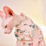 Рубашки без рукавов для кошек Дышащая рубашка из чистого хлопка для кошки породы сфинкс