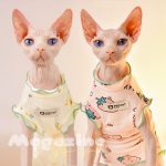 Рубашки без рукавов для кошек Дышащая рубашка из чистого хлопка для кошки породы сфинкс