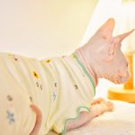 Рубашки без рукавов для кошек Дышащая рубашка из чистого хлопка для кошки породы сфинкс