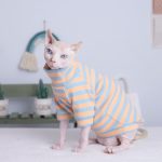 Sphynx Cat Clothes Stripes Best Breathable Shirt for Sphynx Cat