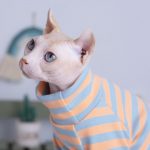 Vestiti per gatti Sphynx a righe Migliore camicia traspirante per gatti Sphynx