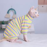 Sphynx Cat Clothes Stripes Best Breathable Shirt for Sphynx Cat