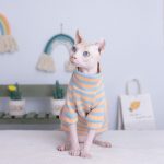 Sphynx Cat Clothes Stripes Melhor Camisa Respirável para Gato Sphynx