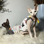 Summer Tank Top for Sphynx Grey and Yellow Tank Top for Cat