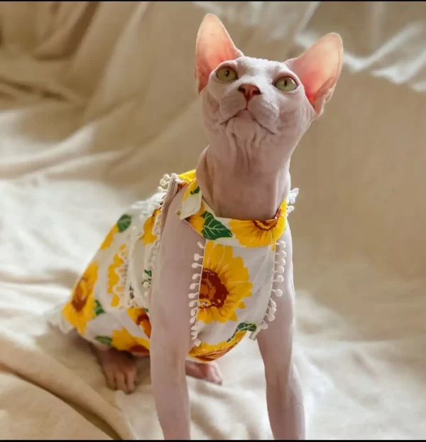 Sunflowers Dress for Cat