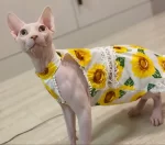 Sunflowers Dress for Cat