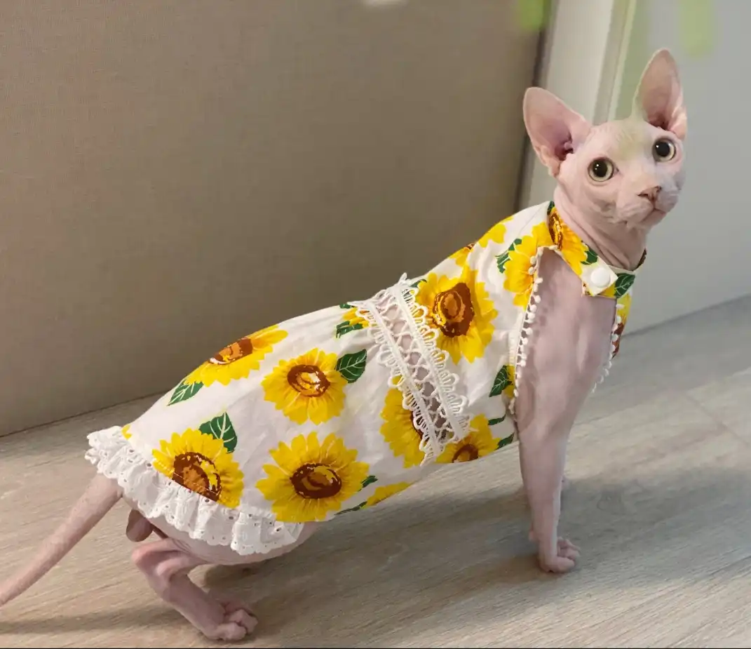 thumbnail image 2 of Hairless Cat Costume Breathable Summer Suspender Skirt Elegant Romantic Girly Cat Dress, Cotton Cute Dress, Soft Princess Dress For Sphynx, Cornish 2 of 13