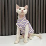 V Neck Tank Tops for Cats